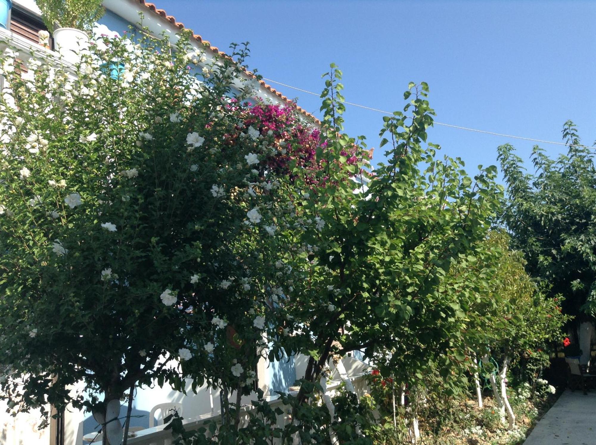 Kalamákion Dina Studios מראה חיצוני תמונה
