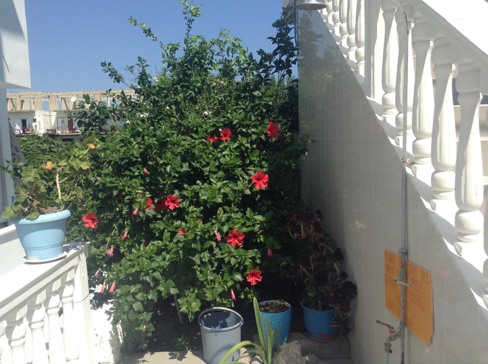 Kalamákion Dina Studios מראה חיצוני תמונה